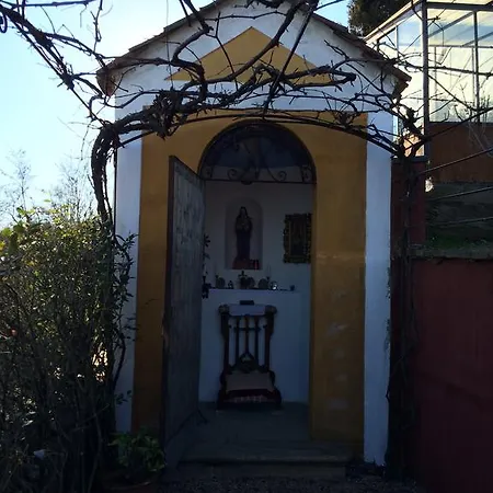 Santa Brigida